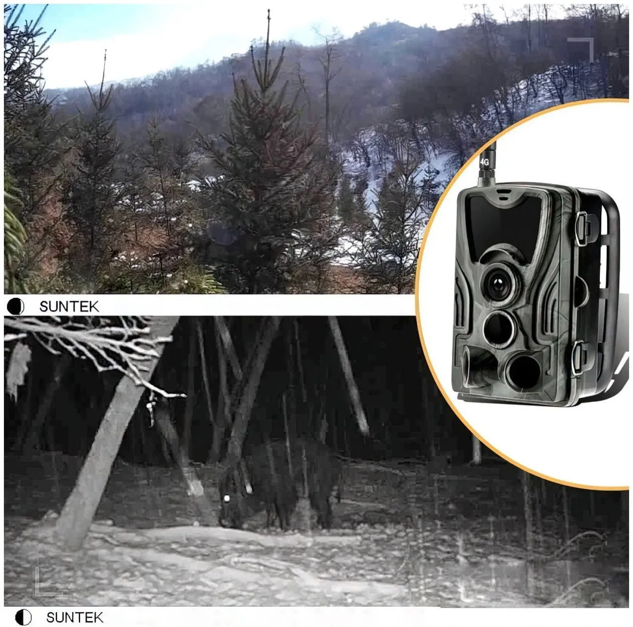 Способы улучшения качества ночных съёмок с фотоловушкой Suntek