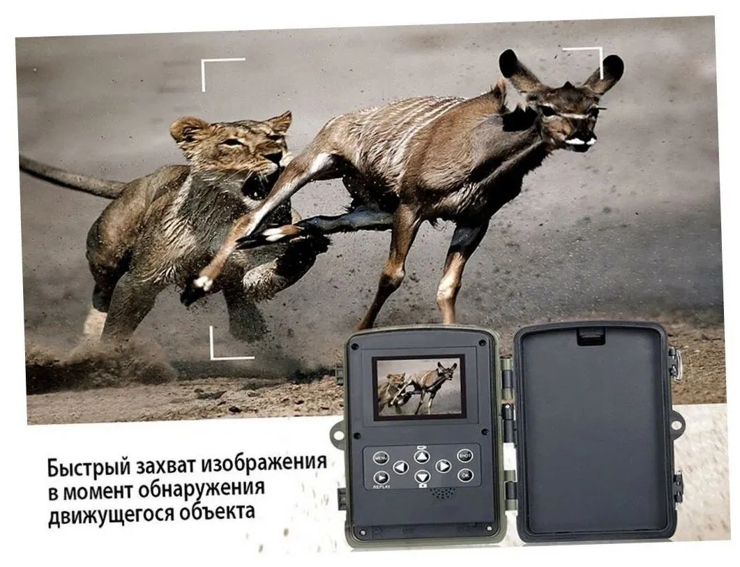 Что такое скорость срабатывания фотоловушки Suntek? И почему это критично для фотографирования диких зверей?