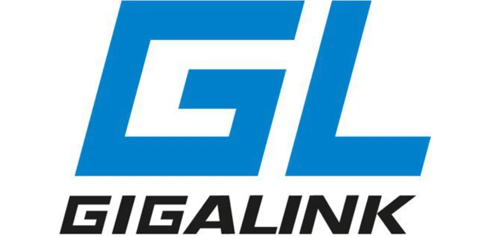 Gigalink