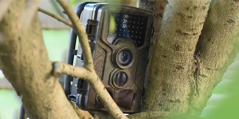 Особенности выбора идеальной точки размещения фотоловушки Suntek