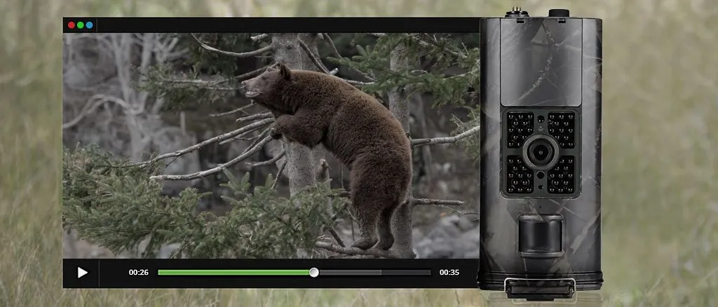 Обзор возможностей аудиосопровождения видеозаписей фотоловушки Suntek