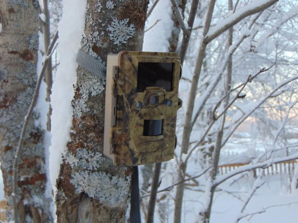 Особые условия эксплуатации фотоловушки Suntek зимой