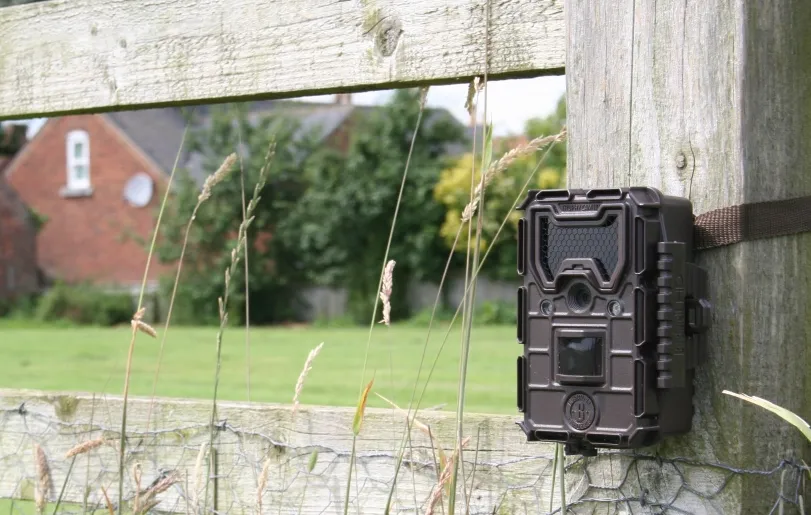 Повышение эффективности охранных мероприятий с использованием фотоловушек Suntek