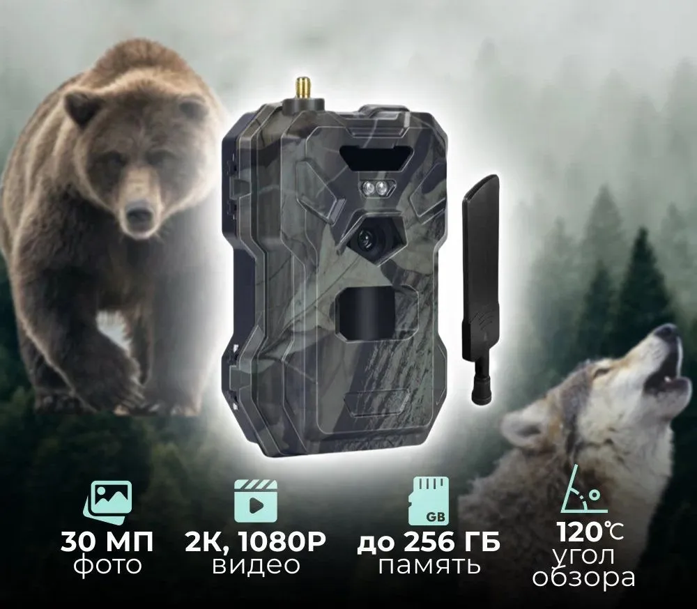 Критерии выбора оптимальной фотоловушки Suntek для конкретного региона