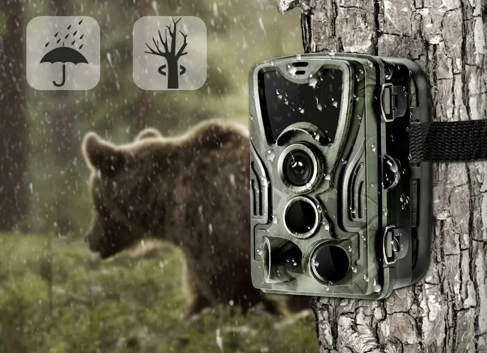 Автономность фотоловушки Suntek: как долго работает батарея в реальных условиях?