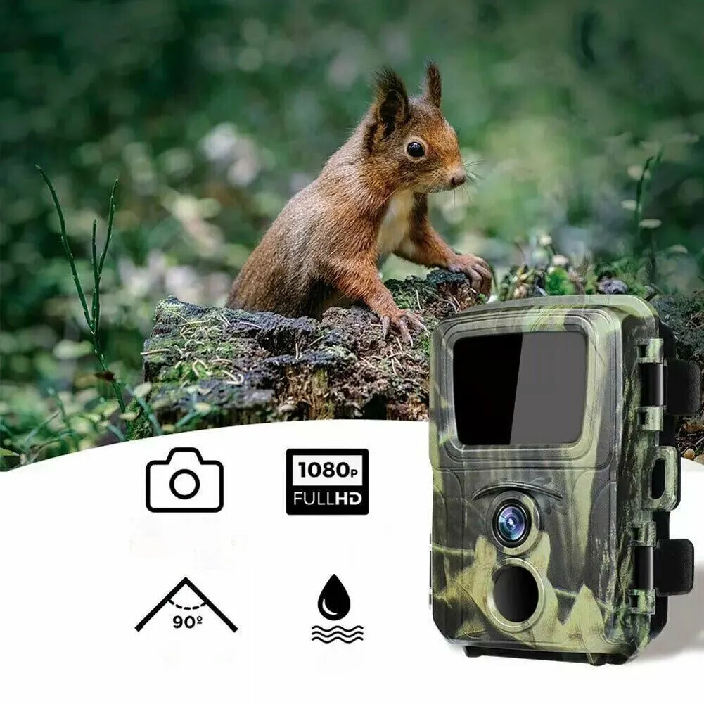 Скорость срабатывания фотоловушки Suntek: как не упустить момент?