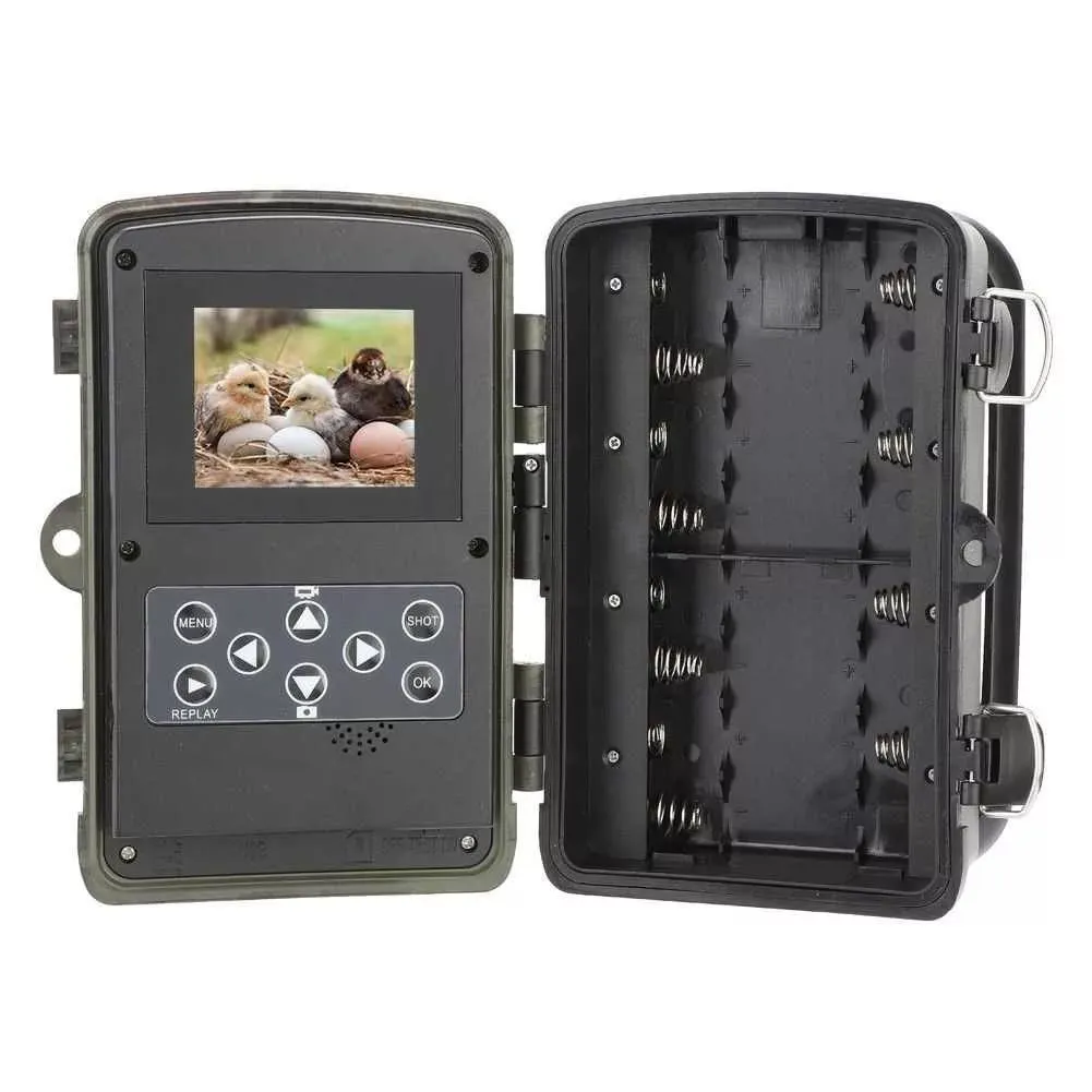 Фокусировка и экспозиция: особенности настройки фотоловушки Suntek для четкого снимка