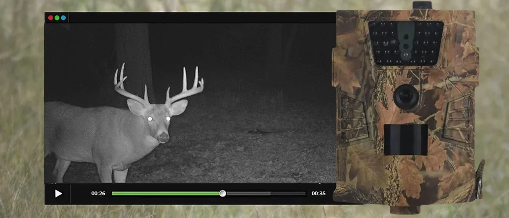 Особенности качественного видеонаблюдения в ночное время суток на фотоловушке Suntek
