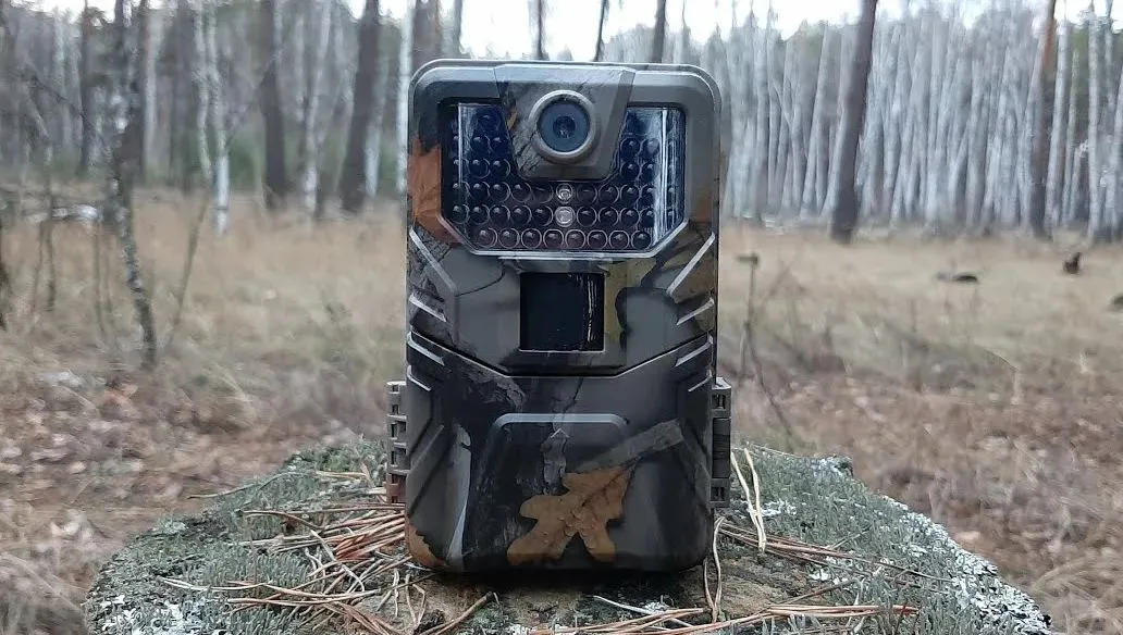 Выбор подходящего места для установки фотоловушки Suntek