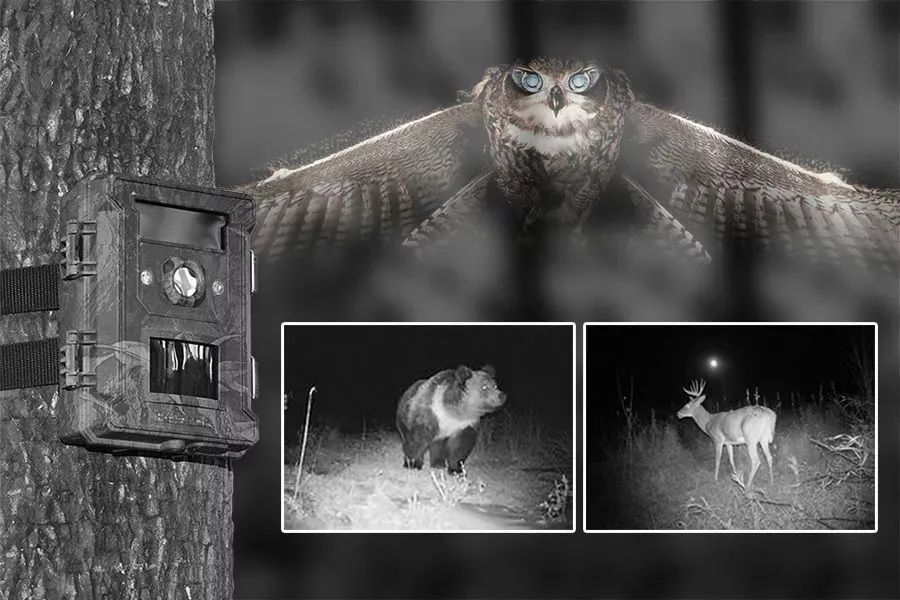 Чем полезна функция серийной съёмки на фотоловушке Suntek?