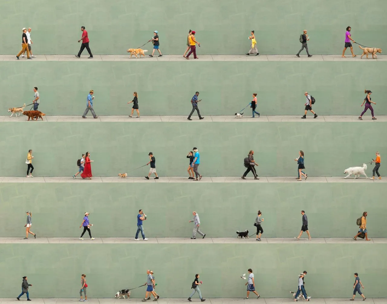 Настройка частоты кадров в камерах Fox