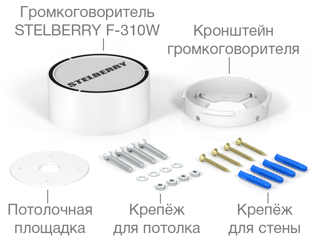 картинка Stelberry F-310W потолочно-настенный громкоговоритель от магазина Охранных систем и видеонаблюдения