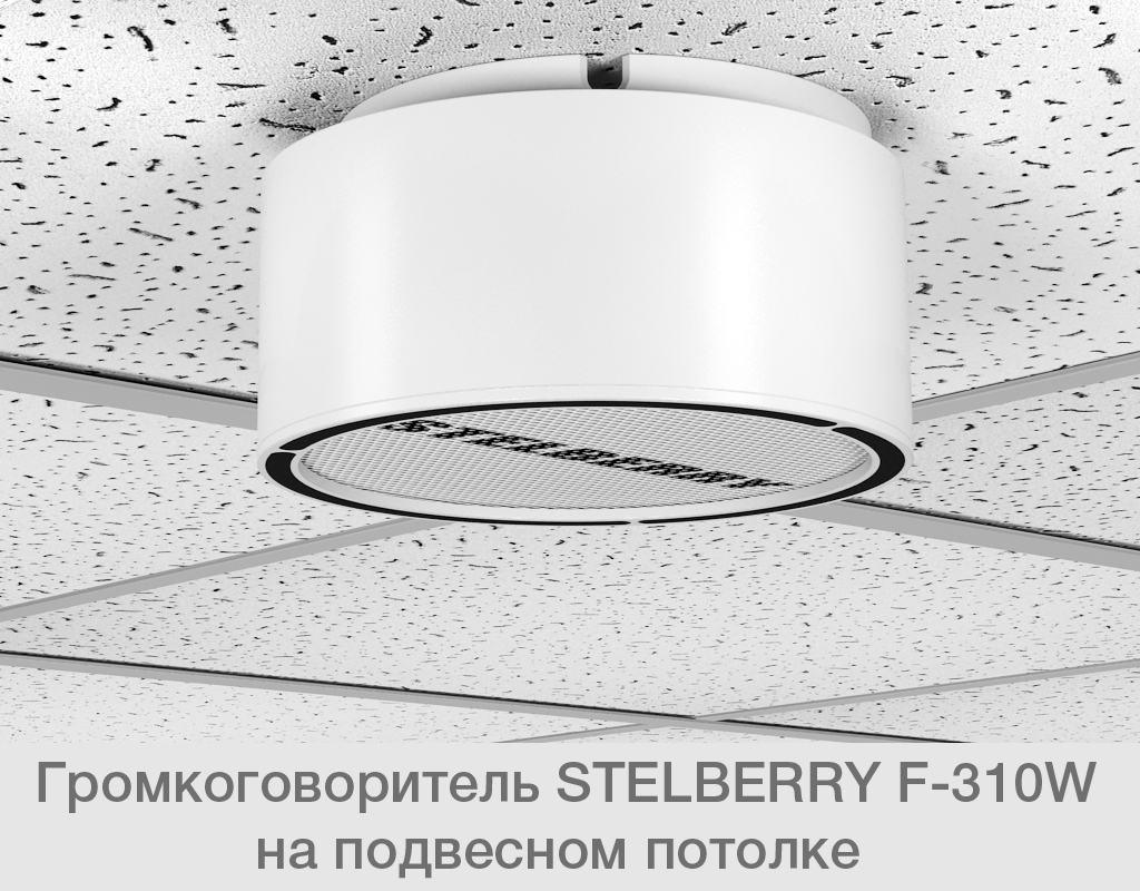 картинка Stelberry F-310W потолочно-настенный громкоговоритель от магазина Охранных систем и видеонаблюдения