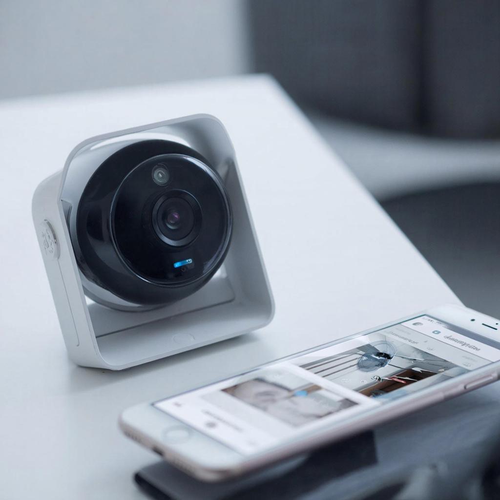 Бесплатный мониторинг через Telegram/Discord: пошагово