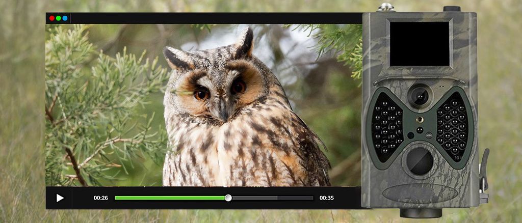 Пошаговая настройка автоматического включения звука при съёмке на фотоловушку Suntek