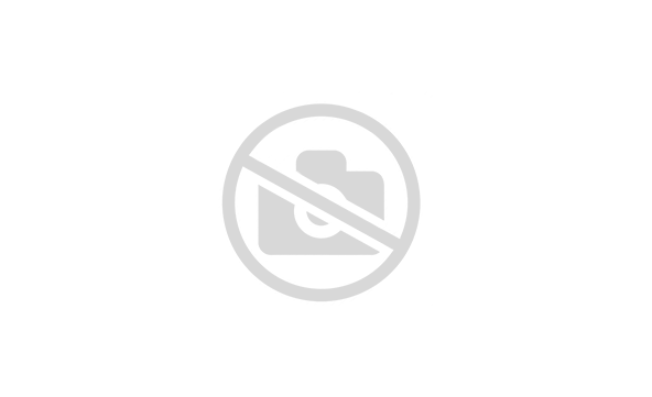 картинка DH-IPC-HDW1439T1P-A-LED-0280B-PRO 4 Мп уличная IP-видеокамера шар в стакане от магазина Охранных систем и видеонаблюдения