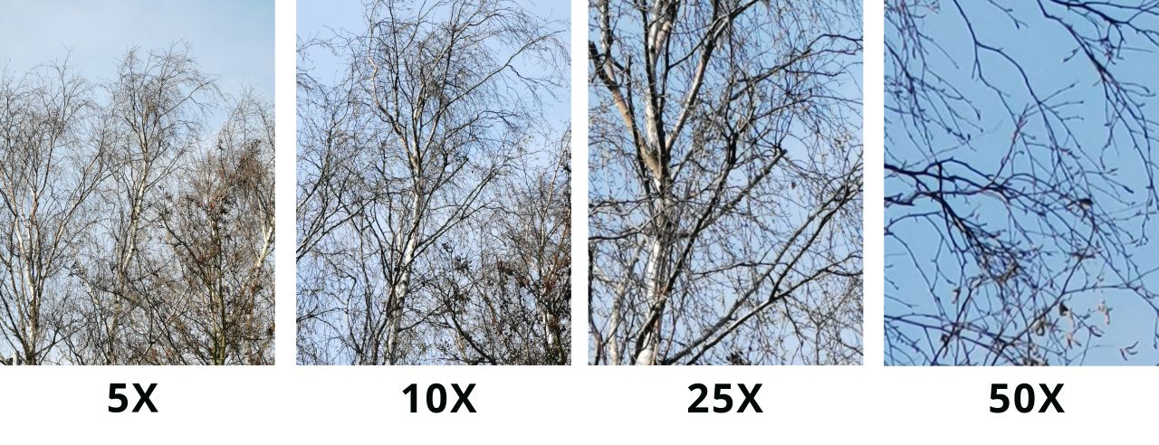 Особенности технологии Optical Digital Zoom в камерах Fox: максимальный уровень детализации