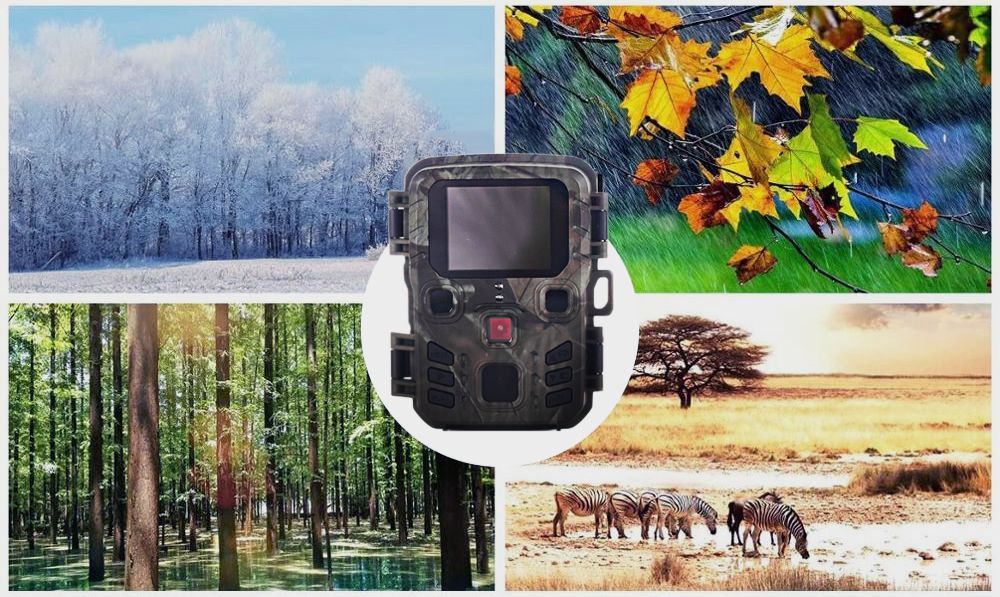 Подбор правильной чувствительности фотоловушки Suntek для разных условий освещения