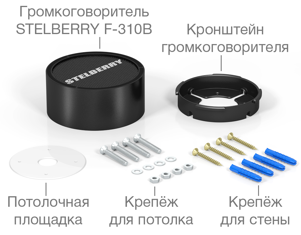 картинка Stelberry F-310B потолочно-настенный громкоговоритель от магазина Охранных систем и видеонаблюдения