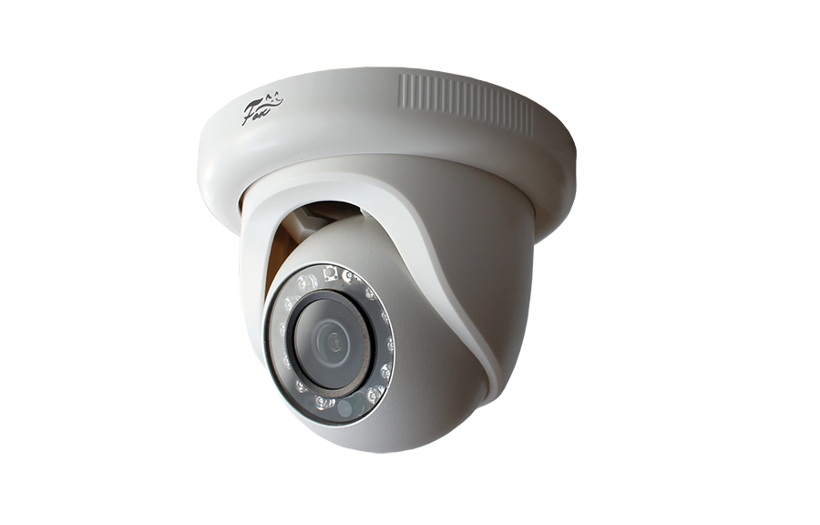 картинка Fox FX-IPC-D20FP-IR LS IP-камера от магазина Охранных систем и видеонаблюдения