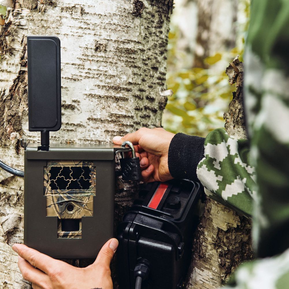 Особенности выбора размера и веса фотоловушки Suntek для установки в труднодоступных местах