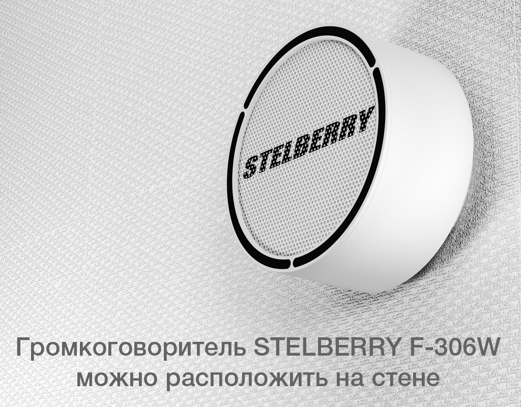 картинка Stelberry F-306W потолочно-настенный громкоговоритель от магазина Охранных систем и видеонаблюдения