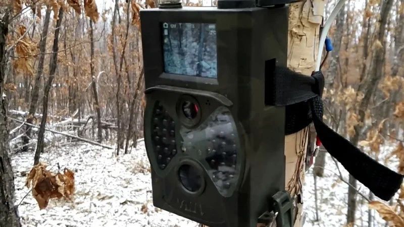 Практическое руководство по сохранению электроэнергии в фотоловушке Suntek