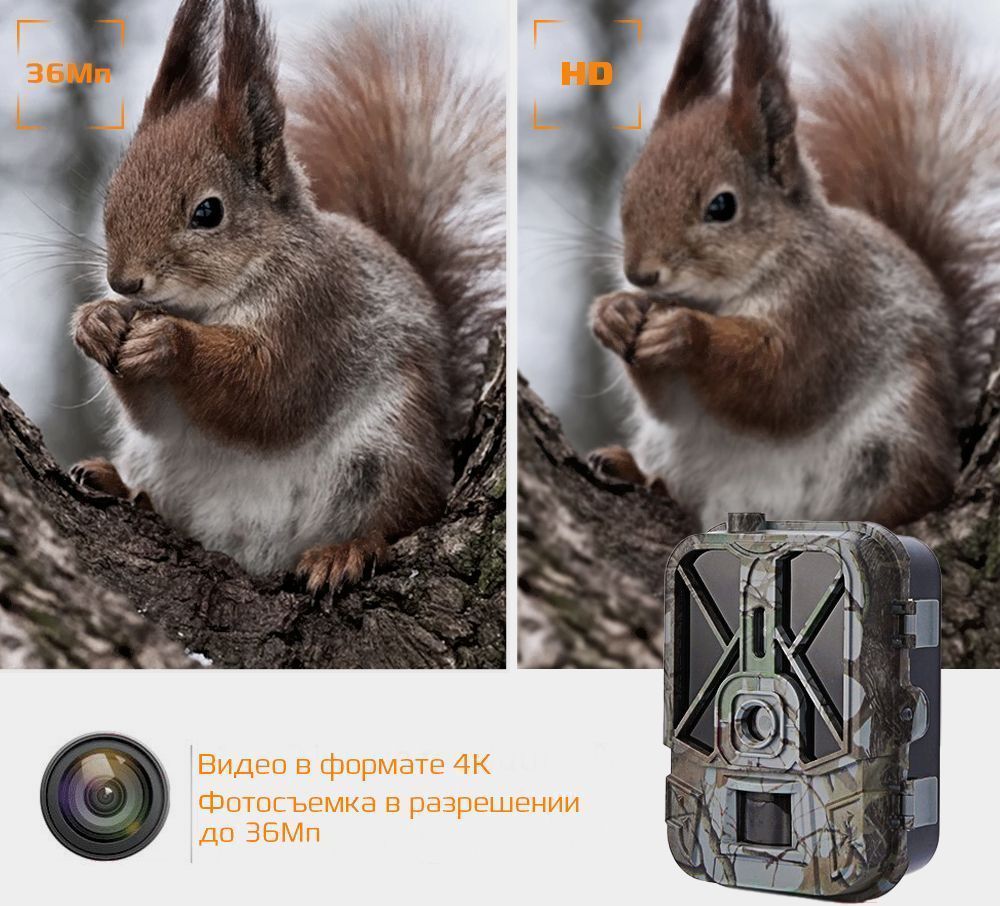 картинка Фотоловушка Suntek HC-940 Pro от магазина Охранных систем и видеонаблюдения