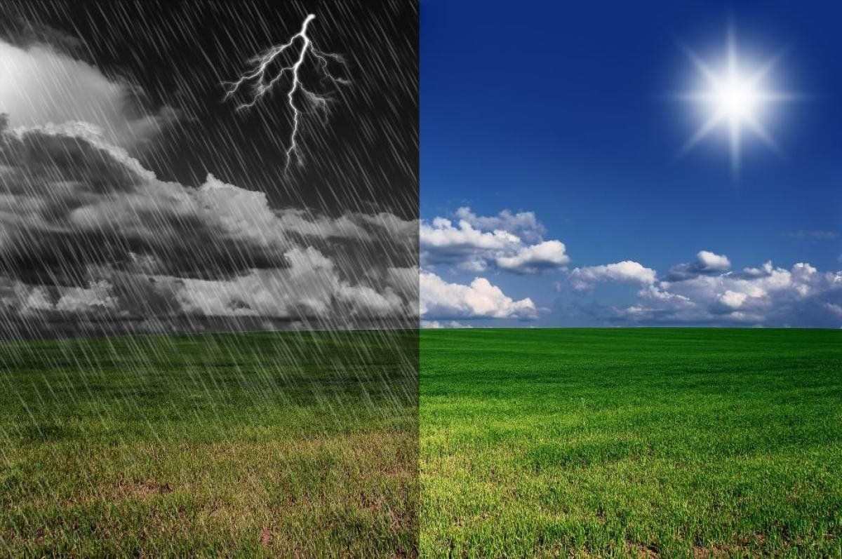 Влияние погодных условий на работу фотоловушек Suntek