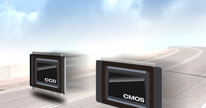 Сравнение CMOS и CCD сенсоров в фотоловушках Suntek: выбор для конкретных задач