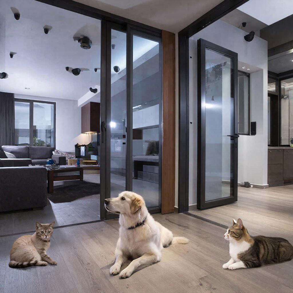 Выбор камеры для дома с домашними животными