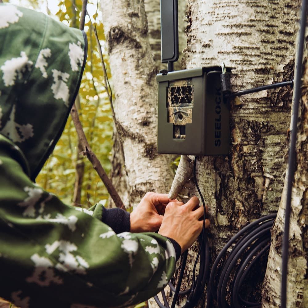 Особенности выбора оптимального места установки фотоловушки Suntek