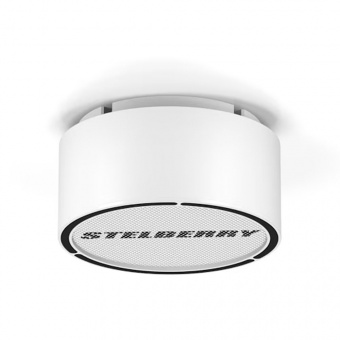 картинка Громкоговоритель Stelberry F-310W от магазина Охранных систем и видеонаблюдения