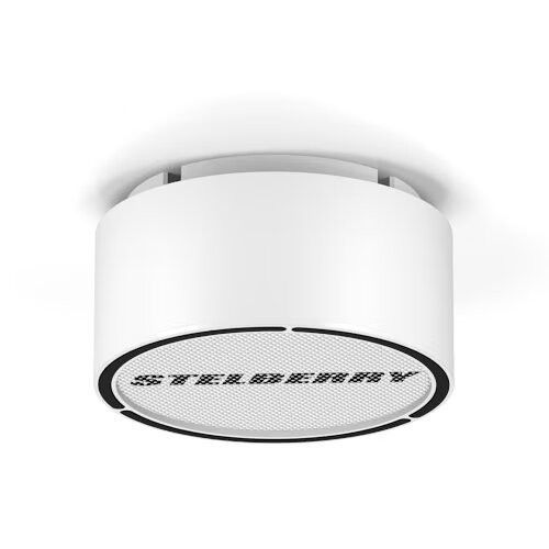 картинка Stelberry F-306W Белый потолочно-настенный громкоговоритель на 6 Ватт от магазина Охранных систем и видеонаблюдения