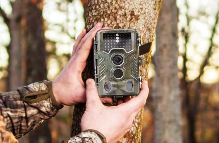 Фотоловушки Suntek: обзор возможностей профессионального оборудования для охотников и натуралистов