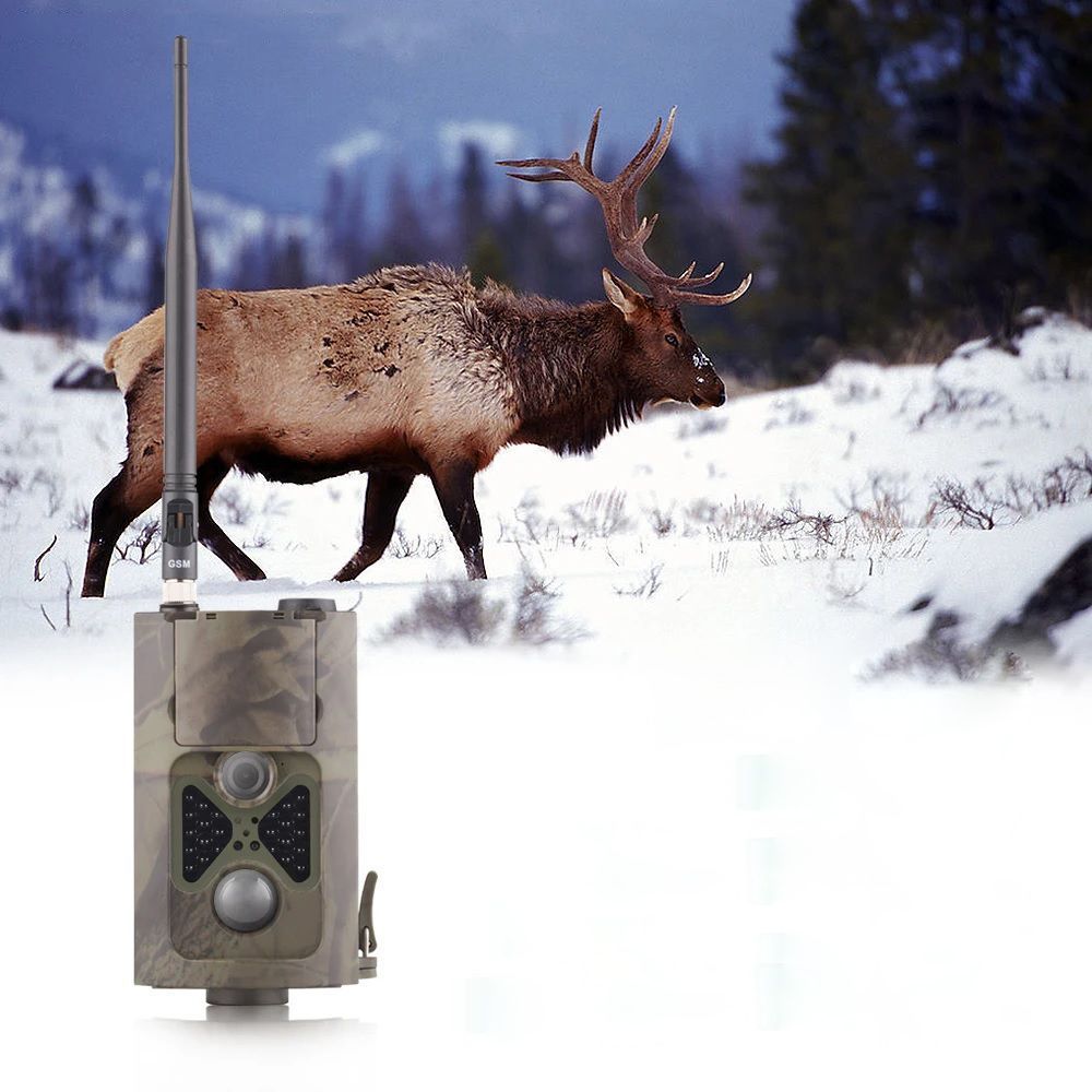 Влияние рабочей температуры фотоловушек Suntek на стабильность работы в экстремальных условиях