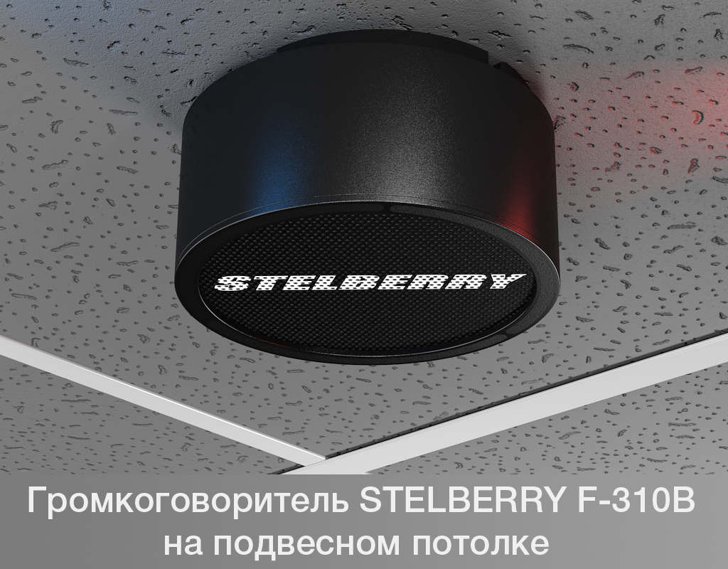 картинка Stelberry F-310B потолочно-настенный громкоговоритель от магазина Охранных систем и видеонаблюдения