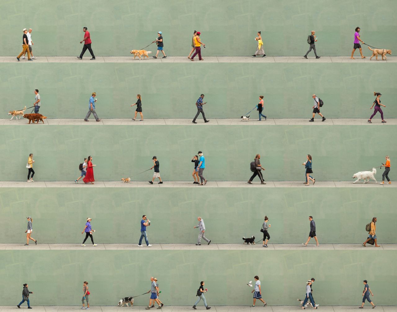 Настройка частоты кадров в камерах Fox