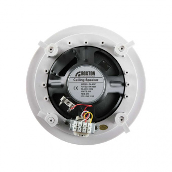 картинка Звуковой оповещатель Roxton PA-620T от магазина Охранных систем и видеонаблюдения